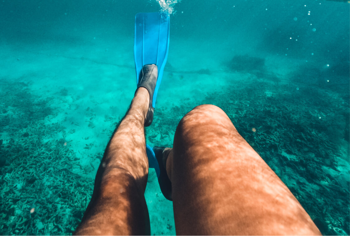Envato | Unlimited Royalty Free Images