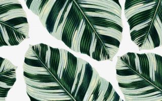 Thumbnail-Graphics